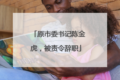 原市委书记陈金虎，被责令辞职