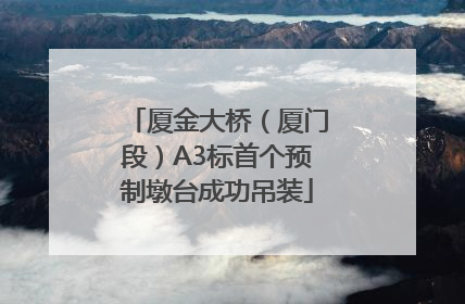 厦金大桥（厦门段）A3标首个预制墩台成功吊装