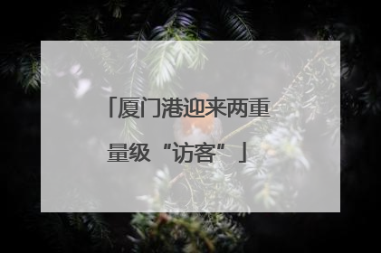 厦门港迎来两重量级“访客”