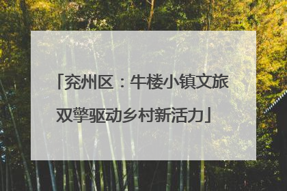 兖州区：牛楼小镇文旅双擎驱动乡村新活力