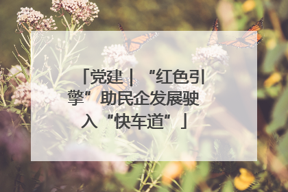 党建｜“红色引擎”助民企发展驶入“快车道”