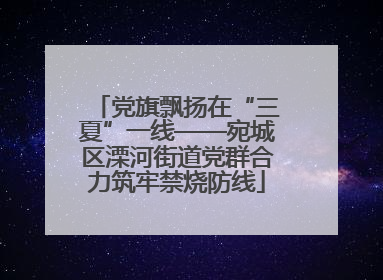 党旗飘扬在“三夏”一线——宛城区溧河街道党群合力筑牢禁烧防线