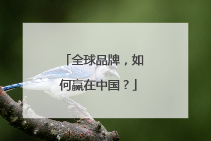 全球品牌，如何赢在中国？