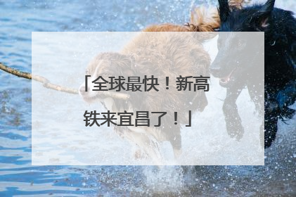 全球最快！新高铁来宜昌了！