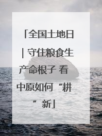 全国土地日｜守住粮食生产命根子 看中原如何“耕”新