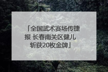 全国武术赛场传捷报 长春南关区健儿斩获20枚金牌