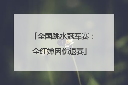 全国跳水冠军赛：全红婵因伤退赛