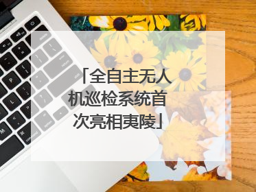 全自主无人机巡检系统首次亮相夷陵