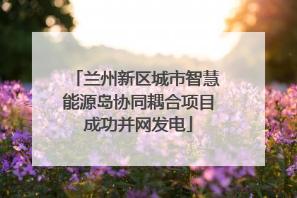兰州新区城市智慧能源岛协同耦合项目成功并网发电