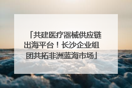 共建医疗器械供应链出海平台！长沙企业组团共拓非洲蓝海市场
