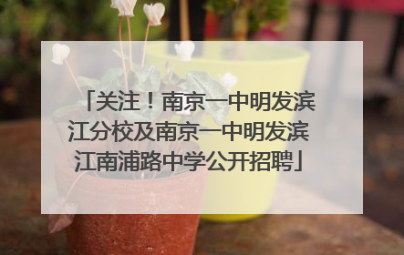 关注！南京一中明发滨江分校及南京一中明发滨江南浦路中学公开招聘