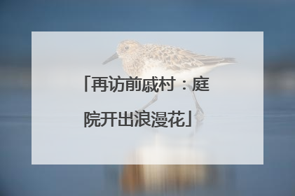 再访前戚村：庭院开出浪漫花