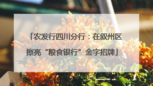 农发行四川分行：在叙州区擦亮“粮食银行”金字招牌