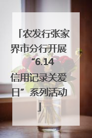 农发行张家界市分行开展“6.14 信用记录关爱日”系列活动