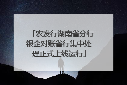 农发行湖南省分行银企对账省行集中处理正式上线运行