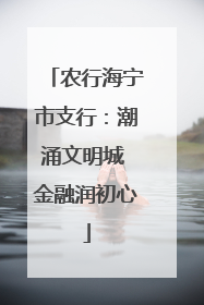 农行海宁市支行：潮涌文明城 金融润初心