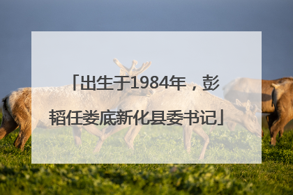 出生于1984年，彭韬任娄底新化县委书记