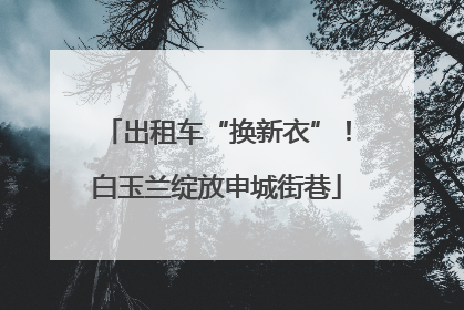 出租车“换新衣”！白玉兰绽放申城街巷