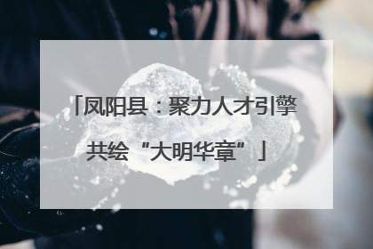 凤阳县：聚力人才引擎 共绘“大明华章”
