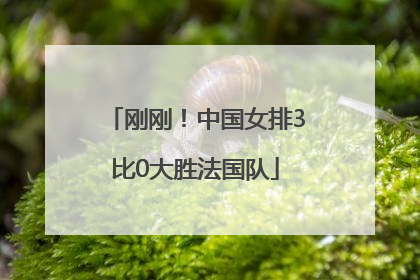 刚刚！中国女排3比0大胜法国队