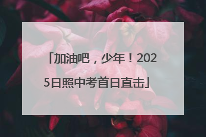 加油吧，少年！2025日照中考首日直击