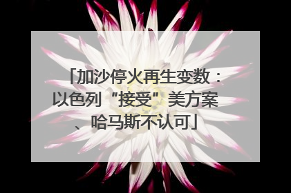 加沙停火再生变数：以色列“接受”美方案、哈马斯不认可