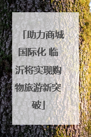 助力商城国际化 临沂将实现购物旅游新突破