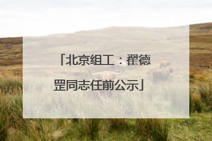 北京组工：翟德罡同志任前公示