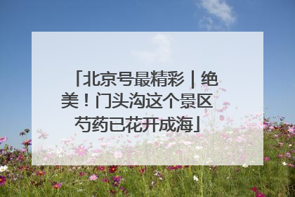 北京号最精彩｜绝美！门头沟这个景区芍药已花开成海