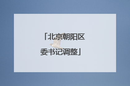 北京朝阳区委书记调整