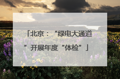 北京：“绿电大通道”开展年度“体检”