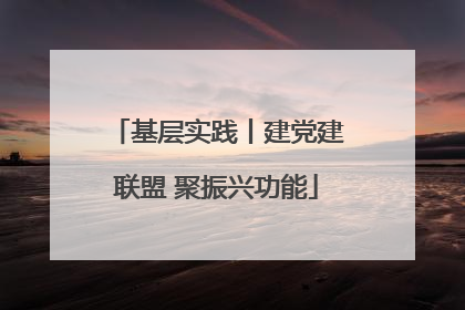 基层实践丨建党建联盟 聚振兴功能
