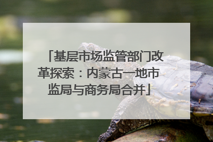 基层市场监管部门改革探索：内蒙古一地市监局与商务局合并