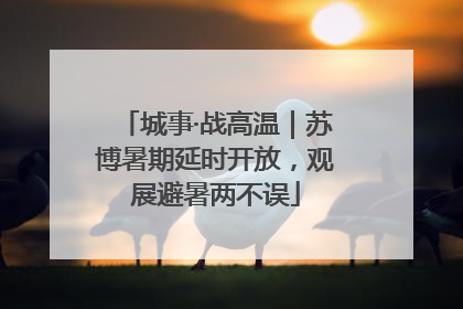 城事·战高温｜苏博暑期延时开放，观展避暑两不误