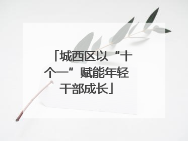 城西区以“十个一”赋能年轻干部成长