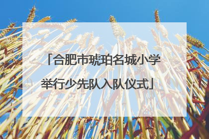 合肥市琥珀名城小学举行少先队入队仪式