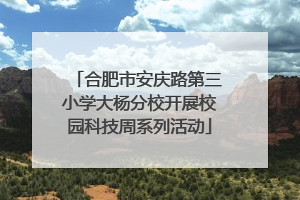 合肥市安庆路第三小学大杨分校开展校园科技周系列活动