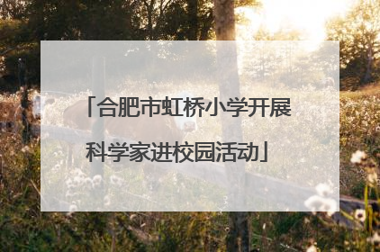 合肥市虹桥小学开展科学家进校园活动