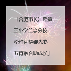 合肥市长江路第三小学兰亭分校：榜样闪耀绽光彩 五育融合助成长