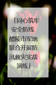 同心筑牢安全防线 醴陵市军地联合开展防汛救灾实战演练