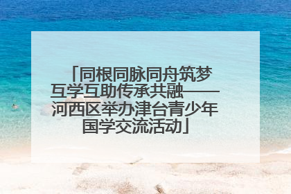 同根同脉同舟筑梦 互学互助传承共融——河西区举办津台青少年国学交流活动