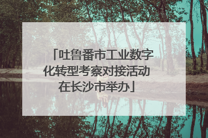 吐鲁番市工业数字化转型考察对接活动在长沙市举办