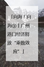 向海！向海③丨广州港口经济释放“乘数效应”