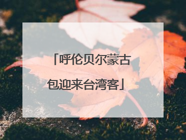 呼伦贝尔蒙古包迎来台湾客