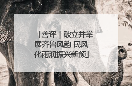善评｜破立并举展齐鲁风韵 民风化雨润振兴新颜
