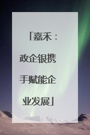 嘉禾：政企银携手赋能企业发展