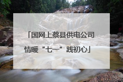国网上蔡县供电公司情暖“七一”践初心