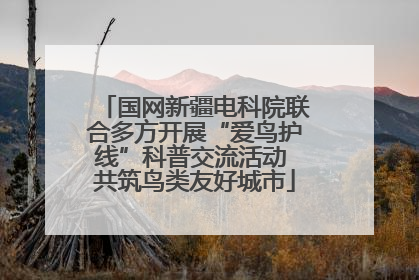 国网新疆电科院联合多方开展“爱鸟护线”科普交流活动 共筑鸟类友好城市