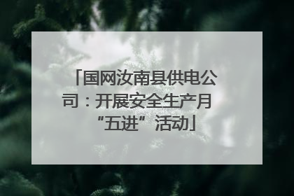 国网汝南县供电公司：开展安全生产月“五进”活动