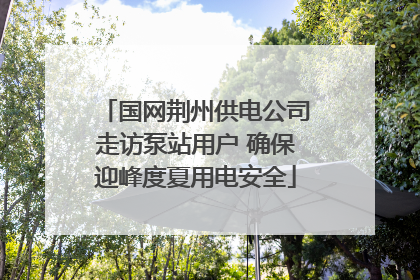 国网荆州供电公司走访泵站用户 确保迎峰度夏用电安全